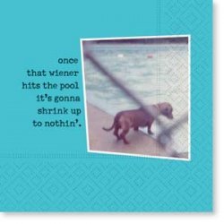 "Once that Wiener Hits the Pool It's Gonna Shrink Up to Nothin'" Cocktail Napkins