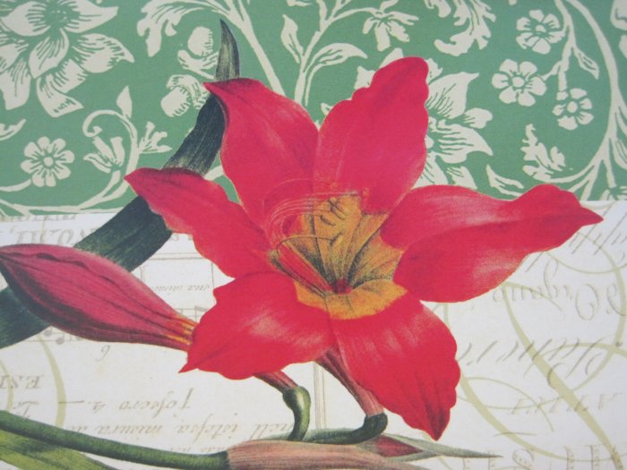 Poinsettia Print Blank Card