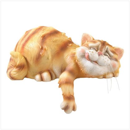 SLEEPING CAT SITTER