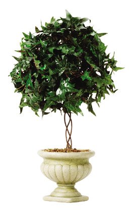 IVY TOPIARY ON ALAB POT