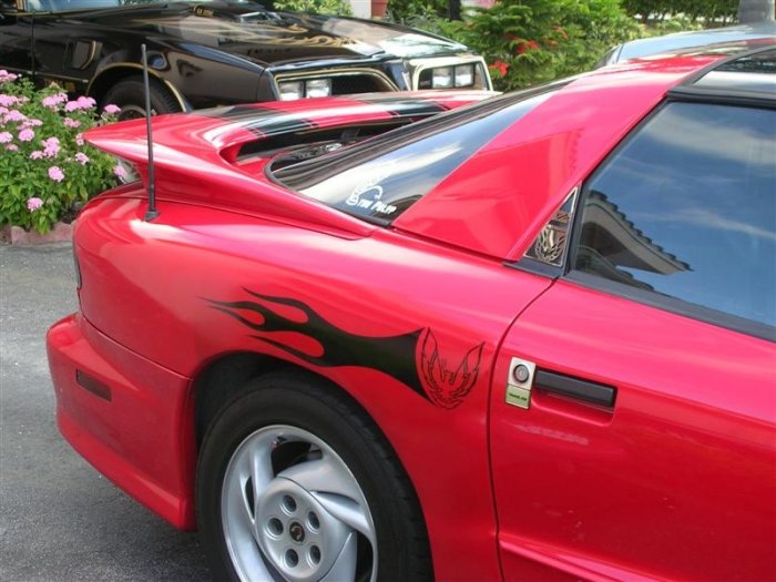 FIREBIRD TRANS AM FORMULA SAIL BIRD DOOR DECALS ls1 lt1