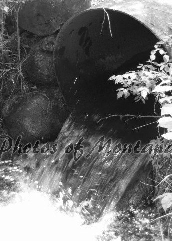 5x7 Photo ~ Black & White #003 Irrigation in Montana