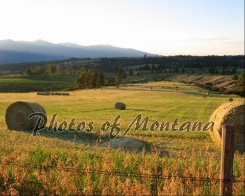 8x10 Photo ~ Scenic #002 Hayfield in Montana