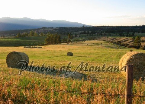 5x7 Photo ~ Scenic #002 Hayfield in Montana