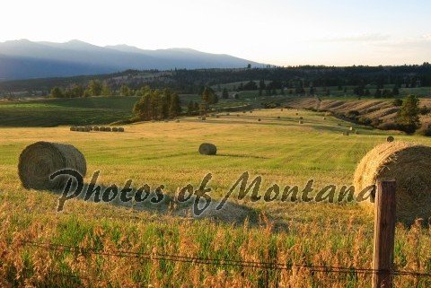 4x6 Photo ~ Scenic #002 Hayfield in Montana