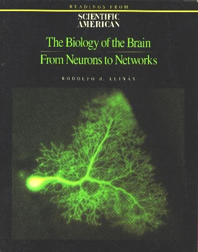 The Biology of the Brain: From Neurons to Networks