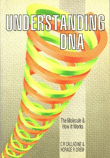 Understanding DNA: The Molecule and How It Works