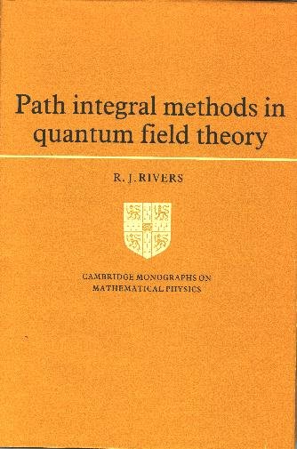 Path Integral Methods in Quantum Field Theory