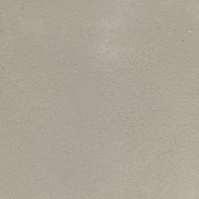 Rio Grande Pecan - Standard
