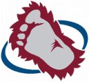 Colorado Avalanche
