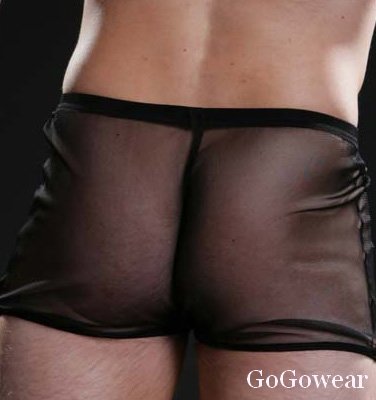 Great Sexy See-Thru Boxer,Exotic Underwear (3024) Free Shipping!
