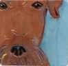 Airedale Portrait Tile