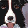 Border Collie Portait Tile