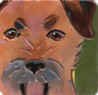Border Terrier Portait Tile