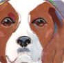 Cavalier King Charles Blenhiem Portrait Tile