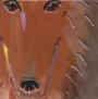 Collie Sable Portait Tile