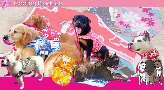 Dog Cooling Vest