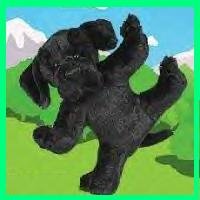 Webkinz BLACK LAB Webkins RARE HTF New!!