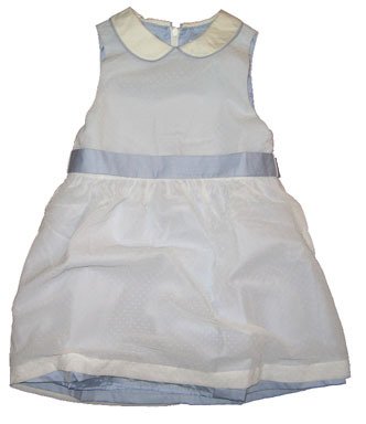 Blue Organza dress