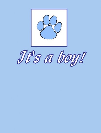 It's a Boy!