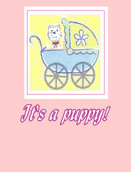 It's a Puppy in a Carriage Pink