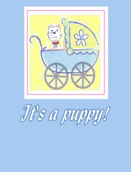 It's a Puppy in a Carriage Blue