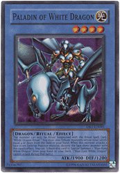 Paladin of White Dragon