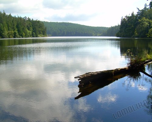 Pass Lake 1 - 8x10 - Original Fine Art Photograph - FREE SHIPPING