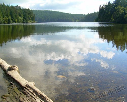 Pass Lake 2 - 8x10 - Original Fine Art Photograph - FREE SHIPPING