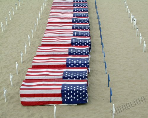 Fallen - ARLINGTON WEST MEMORIAL Santa Monica, CA - 8x10 - Original Photograph - Free Shipping