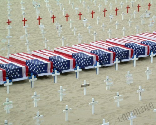 Fallen Soldiers - ARLINGTON WEST MEMORIAL Santa Monica, CA 8x10 Original Photograph Free Shipping