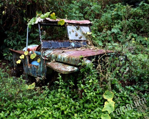 Hawaiian Truck - Big Island, Hawaii - 8x10 - Original Fine Art Photograph - Free Shipping