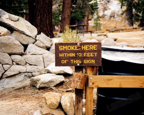 Smoke Here! Palm Springs, CA - 8x10 - Original Fine Art Photograph - FREE SHIPPING
