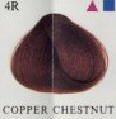 HerbaTint Copper Chestnut 4R Herbal Hair Color Gel 4.5 fl oz/135 ml SKU#22689-4 UPC#666248001188