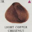 HerbaTint Light Copper Chestnut 5R Herbal Hair Color Gel 4.5 fl oz/135 ml #22691-0 UPC#666248001195