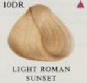 HerbaTint Light Copperish Gold 10DR Herbal Hair Color Gel 4.5 fl oz/135 ml #22705-8 UPC#666248001294