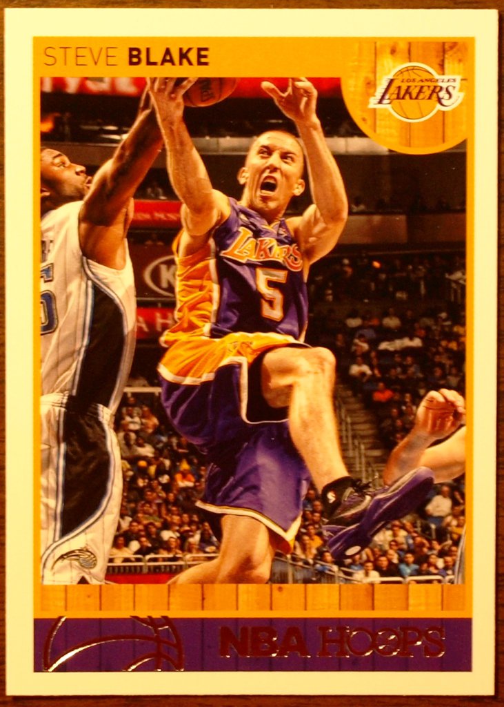 2013-14 Panini Hoops #7 Steve Blake