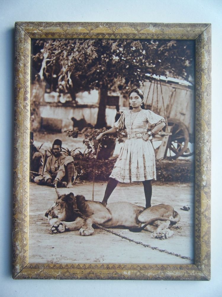 Lion Tamer Lady Woman Photograph, Vintage Photo in Old Wooden Frame India #2728