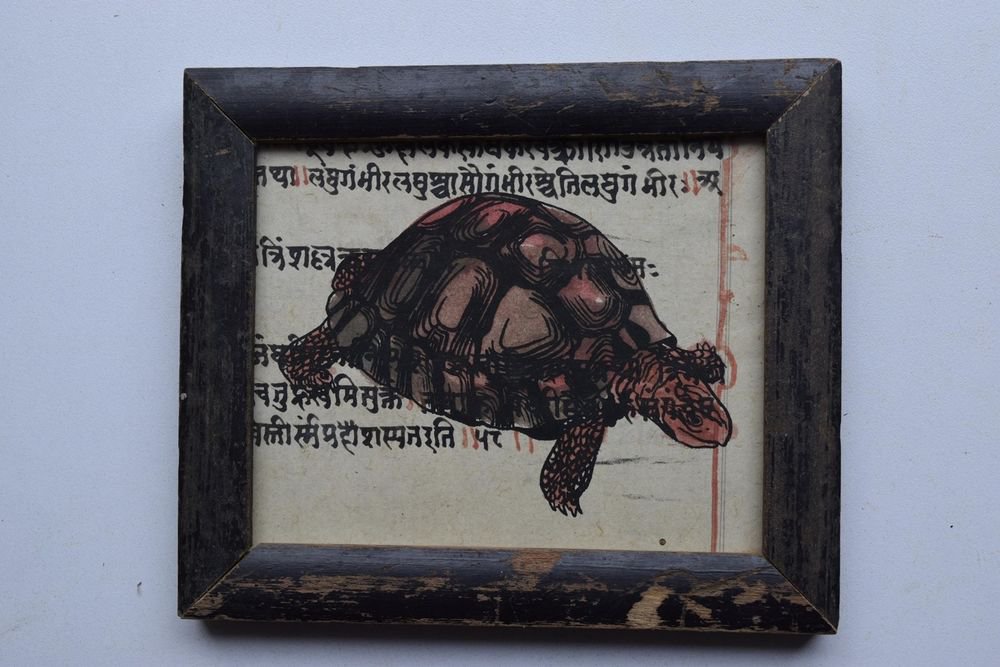 Turtle Painting on Manuscript Hand Color Painting in Old Wooden Frame #2995