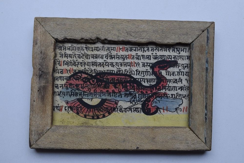 Snake Painting on Manuscript Hand Color Painting in Old Wooden Frame India #2994