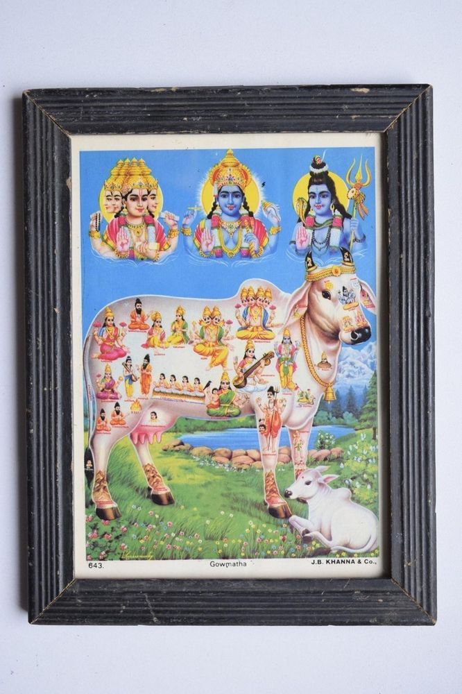 Holy Cow All Gods Rare Old Religious Print in Old Wooden Frame India Art #3136