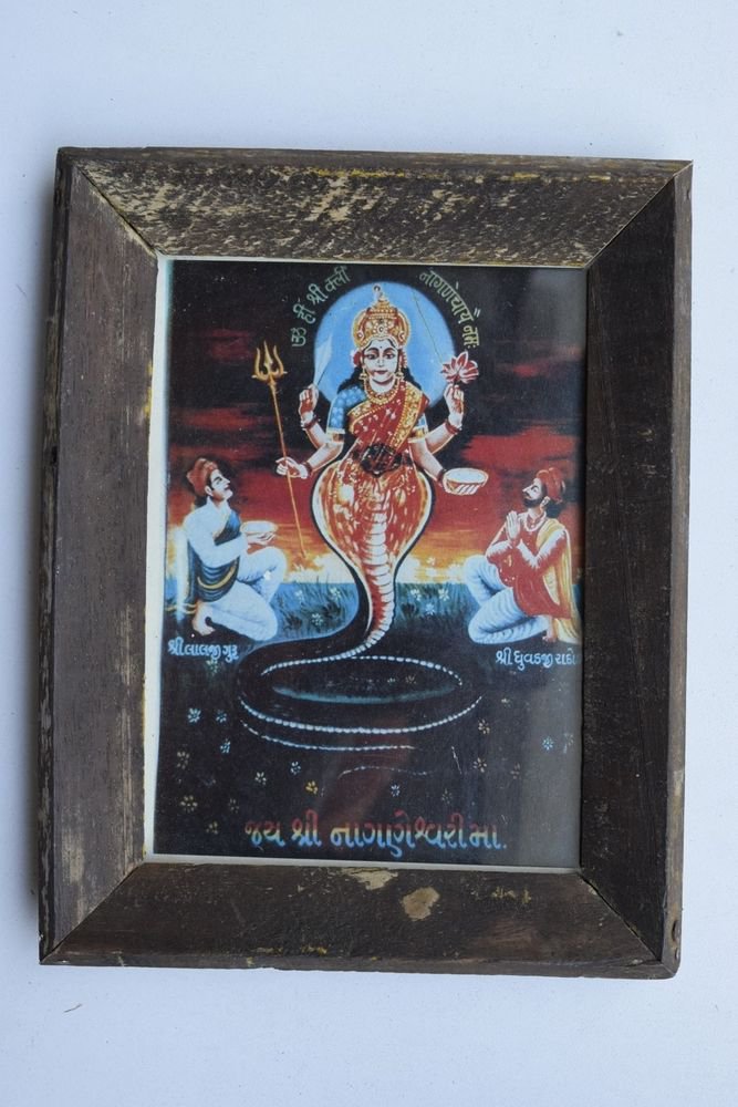 Goddess Naageshwari Maa Rare Old Religious Art Print in Old Wooden Frame #3342