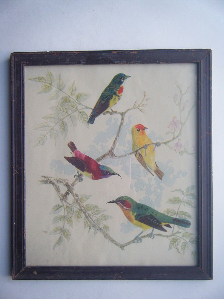 Birds Sparrows Old Original Hand Colour Painting in Old Wooden Frame #2798