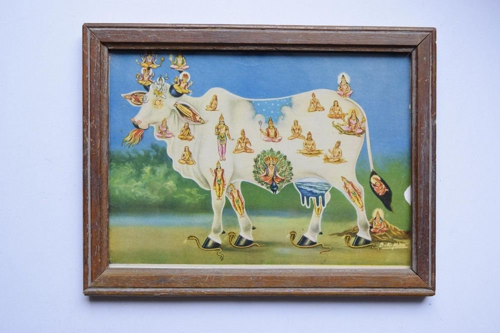 Holy Cow All Gods Rare Old Religious Print in Old Wooden Frame India Art #3135