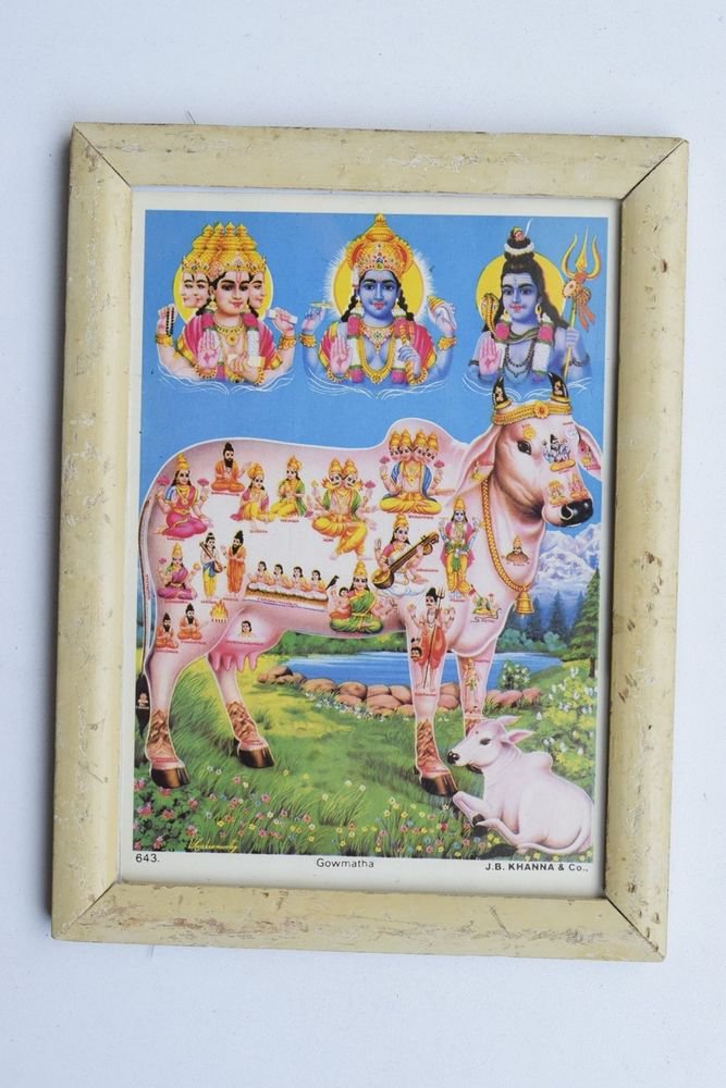 Holy Cow Collectible Rare Old Religious Print in Old Wooden Frame India #3265