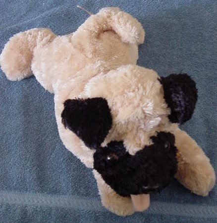 Aurora Dog Floppy Stuffed Plush 12" Soft Laying down