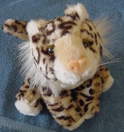 Circus Circus Spotted Wild Cat Leopard Stuffed Plush 7"