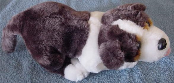 Calplush Brown & White Hound Dog Stuffed Plush 10"