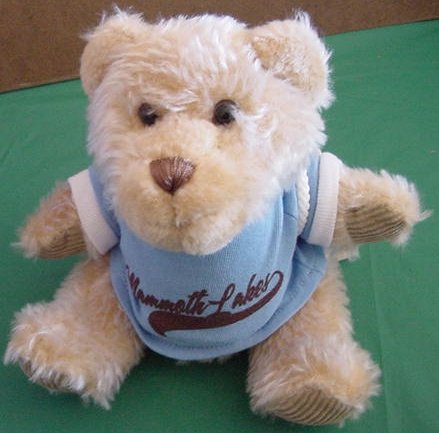 Mammoth Lakes CA Bear First & Main Stuffed Plush 6.5"