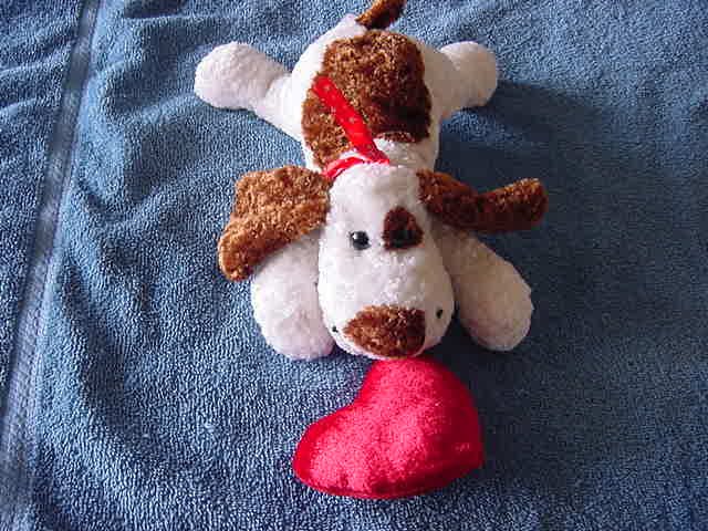 Kids of America White & Brown Dog Puppy Beanie Plush 7"